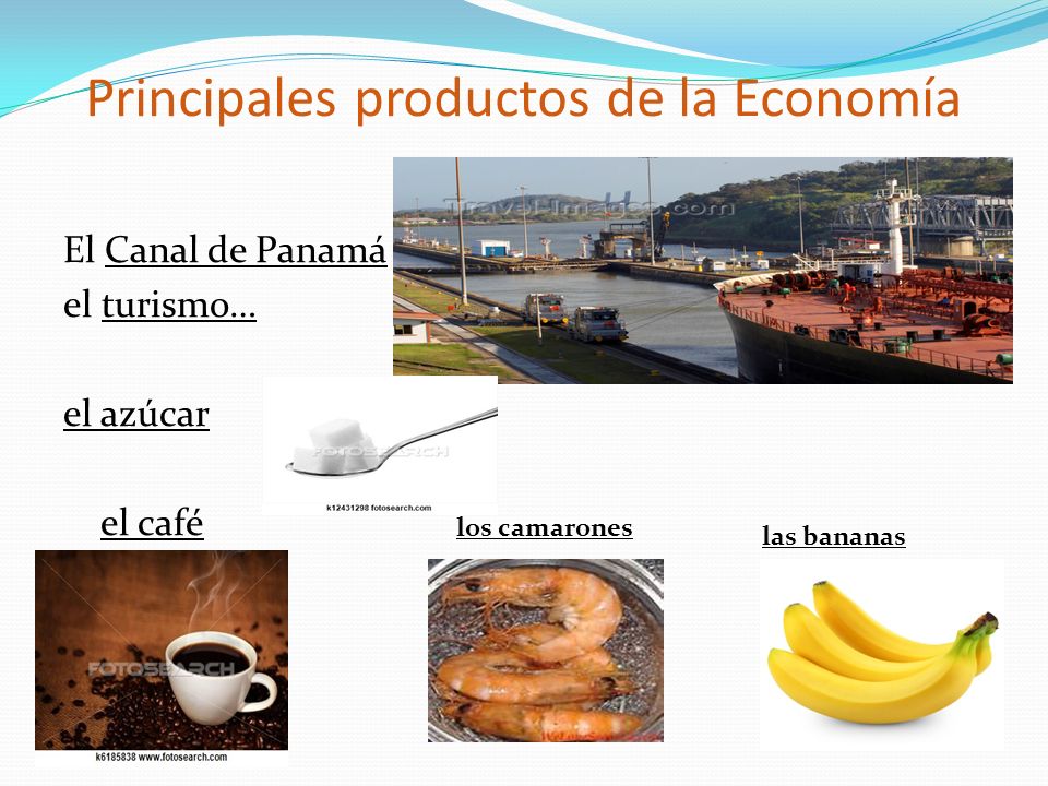 Principales productos de la Economía