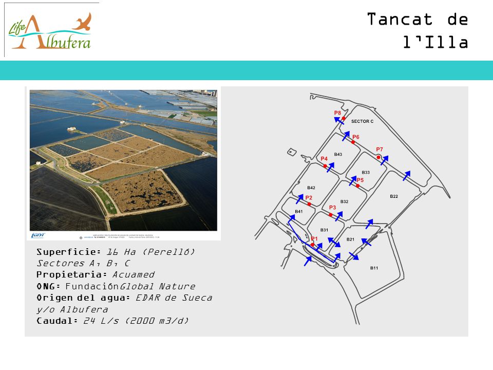 Tancat de l’Illa Superficie: 16 Ha (Perelló) Sectores A, B, C