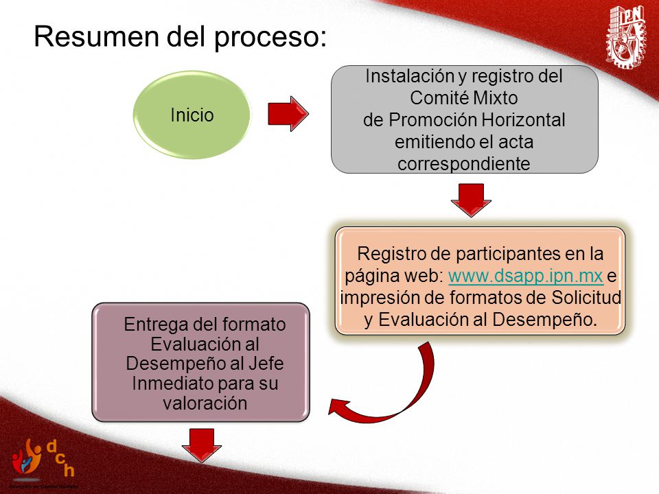 Resumen del proceso: Instalación y registro del Comité Mixto Inicio