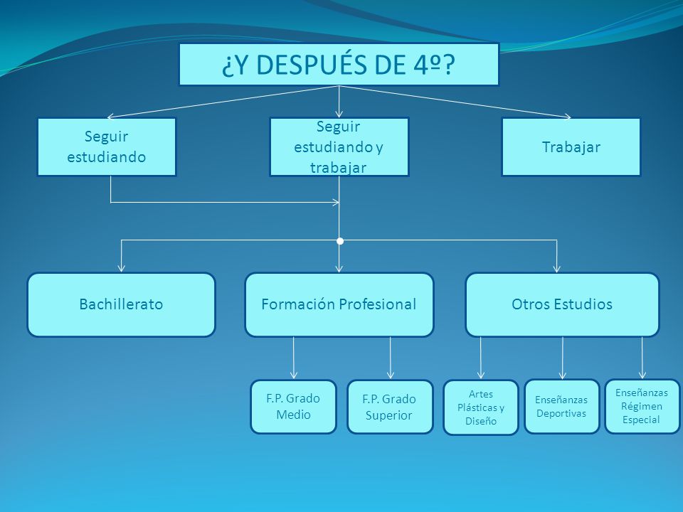 ¿Y DESPUÉS DE 4º Seguir estudiando Seguir estudiando y trabajar