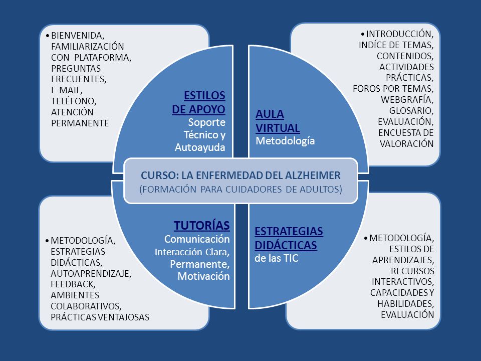 ESTILOS DE APOYO Soporte Técnico y Autoayuda AULA VIRTUAL Metodología