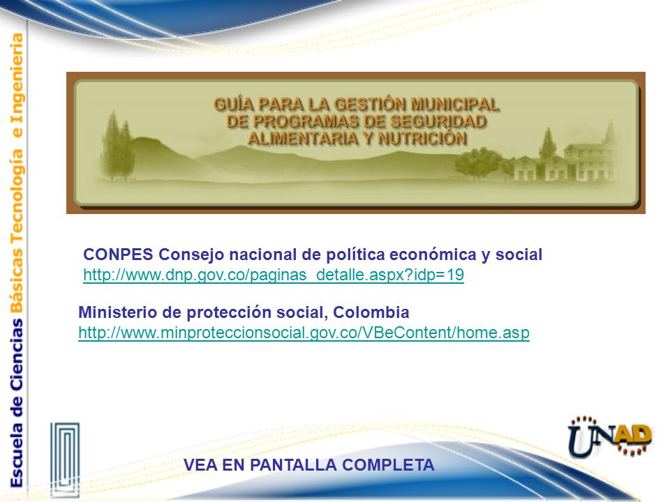 Elementos CONPES Consejo nacional de política económica y social
