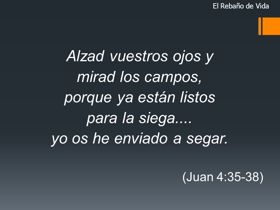 Alzad vuestros ojos y mirad los campos, porque ya están listos