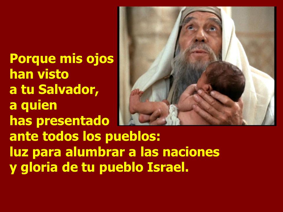 Porque mis ojos han visto a tu Salvador, a quien has presentado ante todos los pueblos: luz para alumbrar a las naciones y gloria de tu pueblo Israel.