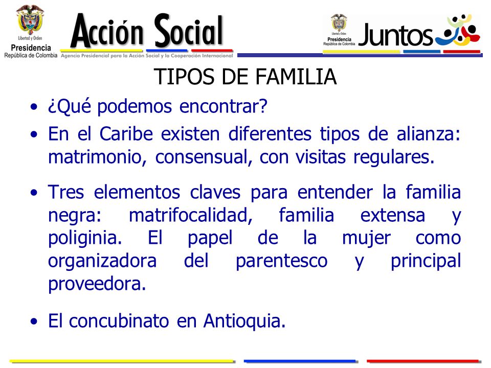 TIPOS DE FAMILIA ¿Qué podemos encontrar