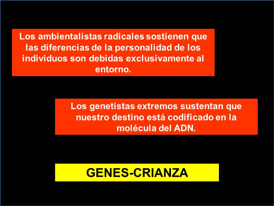 Los ambientalistas radicales sostienen que las diferencias de la personalidad de los individuos son debidas exclusivamente al entorno.