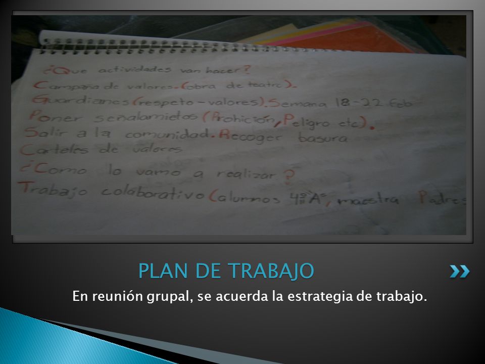 En reunión grupal, se acuerda la estrategia de trabajo.