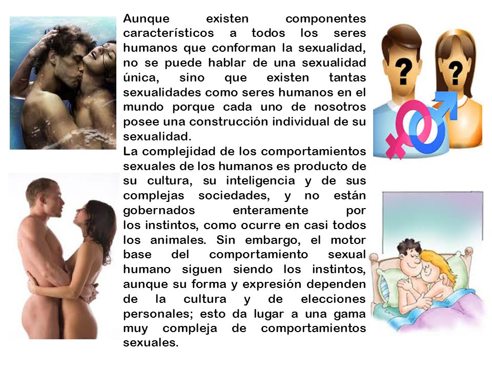 Aunque existen componentes característicos a todos los seres humanos que conforman la sexualidad, no se puede hablar de una sexualidad única, sino que existen tantas sexualidades como seres humanos en el mundo porque cada uno de nosotros posee una construcción individual de su sexualidad.