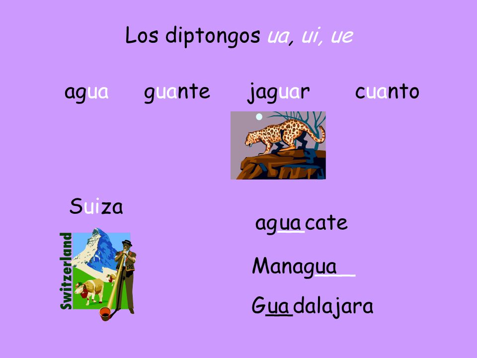 Los diptongos ua, ui, ue agua guante jaguar cuanto Suiza ag__cate ua Manag___ ua G__dalajara ua