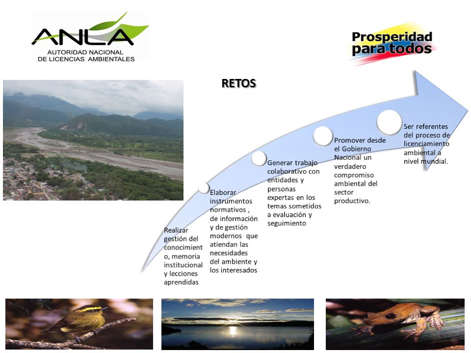 Realizar gestión del conocimiento, memoria institucional y lecciones aprendidas