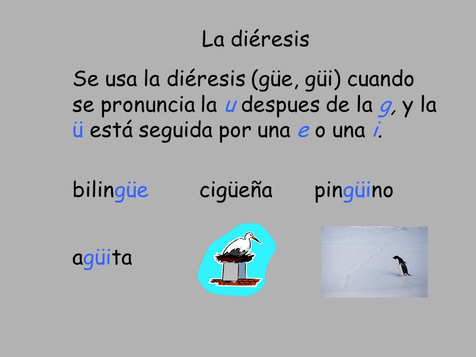 La diéresis Se usa la diéresis (güe, güi) cuando se pronuncia la u despues de la g, y la ü está seguida por una e o una i.
