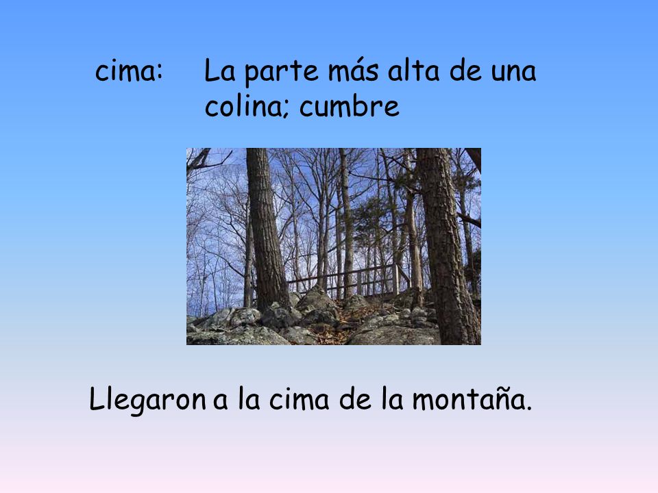 cima: La parte más alta de una colina; cumbre Llegaron a la cima de la montaña.