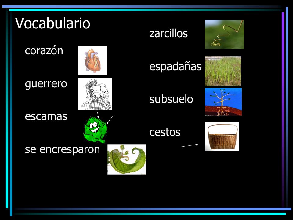 Vocabulario zarcillos espadañas corazón guerrero subsuelo escamas
