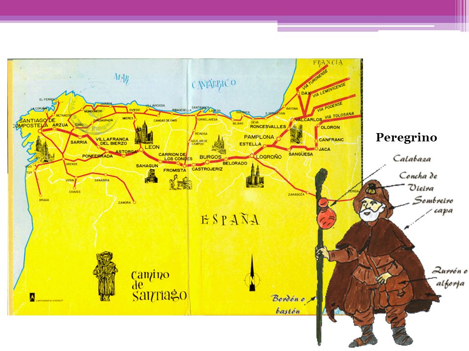 Peregrino