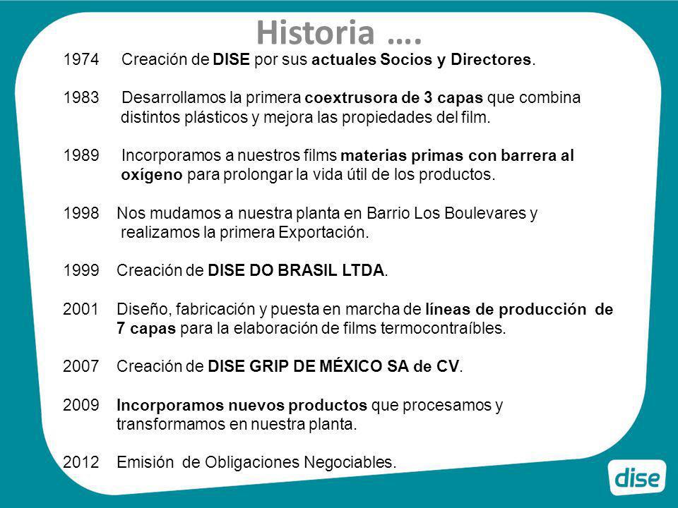 Historia …. Creación de DISE por sus actuales Socios y Directores.
