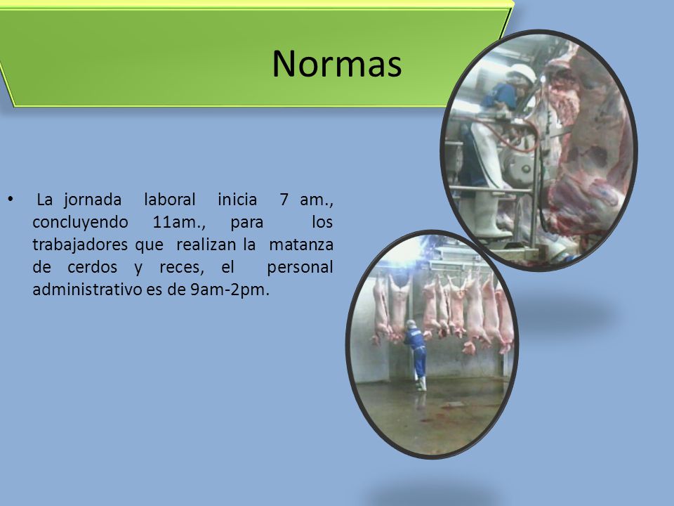 Normas