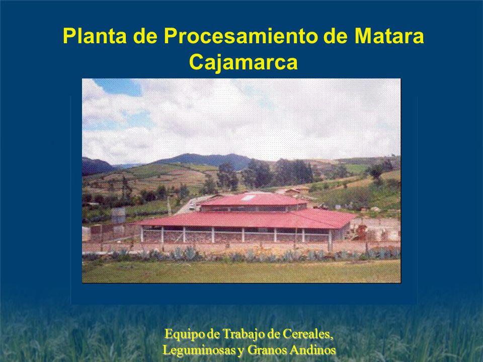 Planta de Procesamiento de Matara Cajamarca