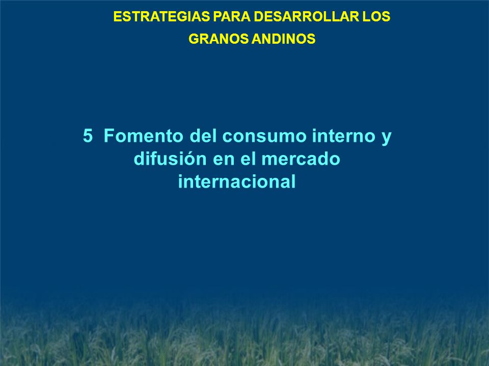 5 Fomento del consumo interno y difusión en el mercado internacional