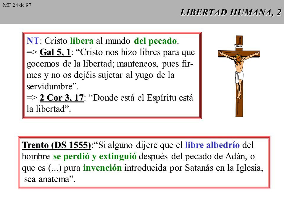 NT: Cristo libera al mundo del pecado.