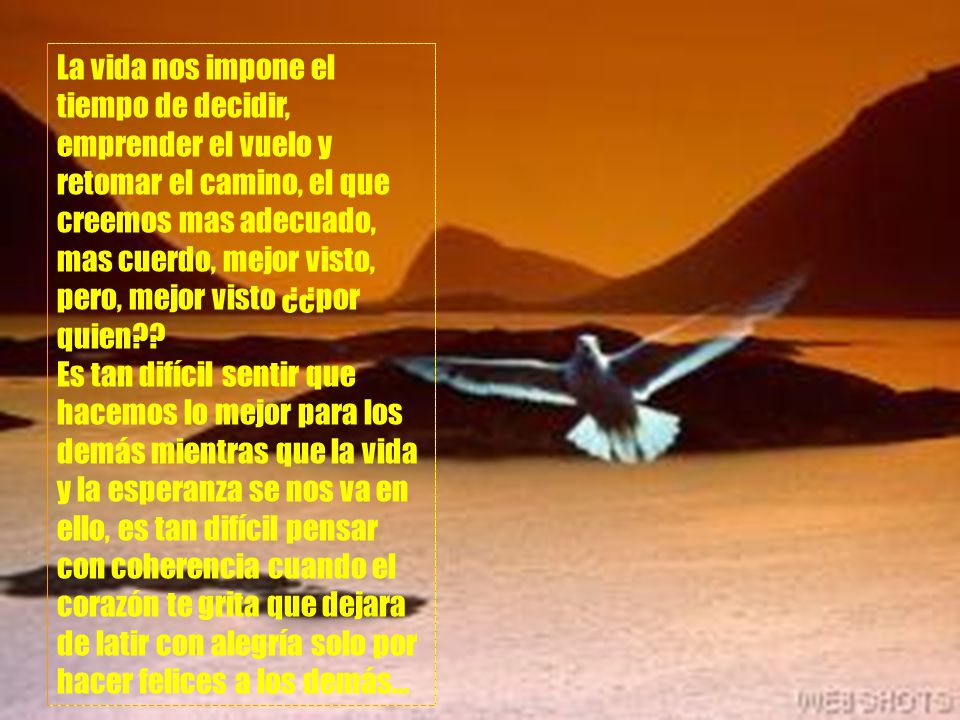 La vida nos impone el tiempo de decidir, emprender el vuelo y retomar el camino, el que creemos mas adecuado, mas cuerdo, mejor visto, pero, mejor visto ¿¿por quien