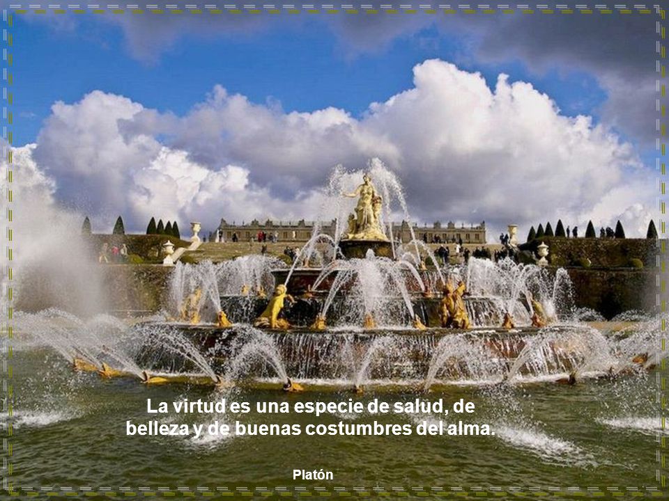 La virtud es una especie de salud, de belleza y de buenas costumbres del alma.