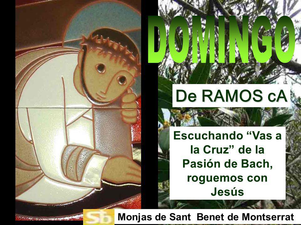 Escuchando Vas a la Cruz de la Pasión de Bach, roguemos con Jesús