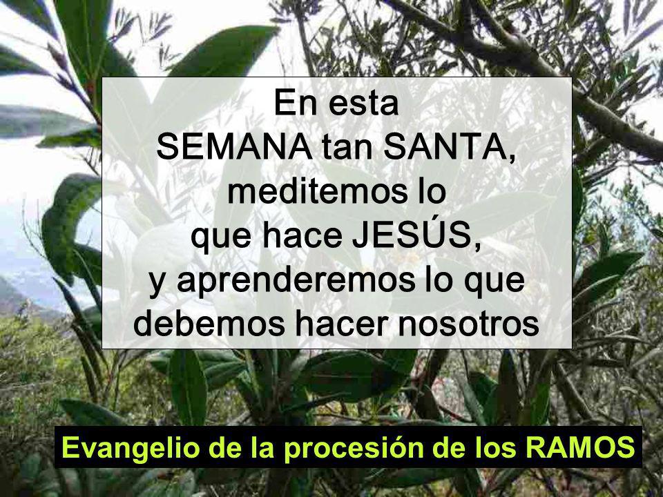 Evangelio de la procesión de los RAMOS