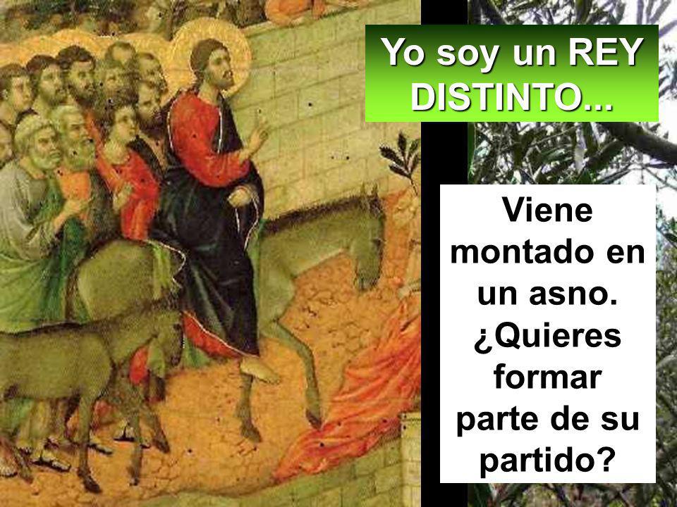 Viene montado en un asno. ¿Quieres formar parte de su partido