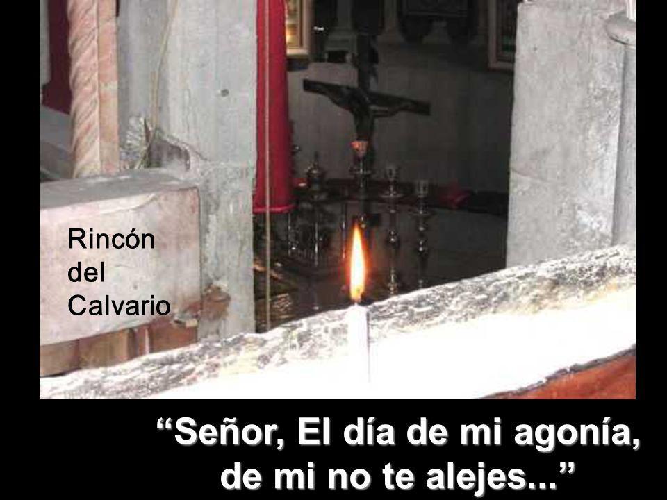 Señor, El día de mi agonía, de mi no te alejes...
