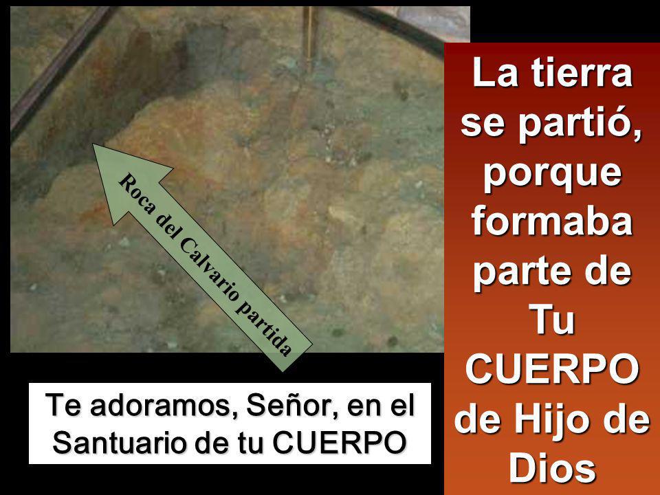 La tierra se partió, porque formaba parte de Tu CUERPO de Hijo de Dios