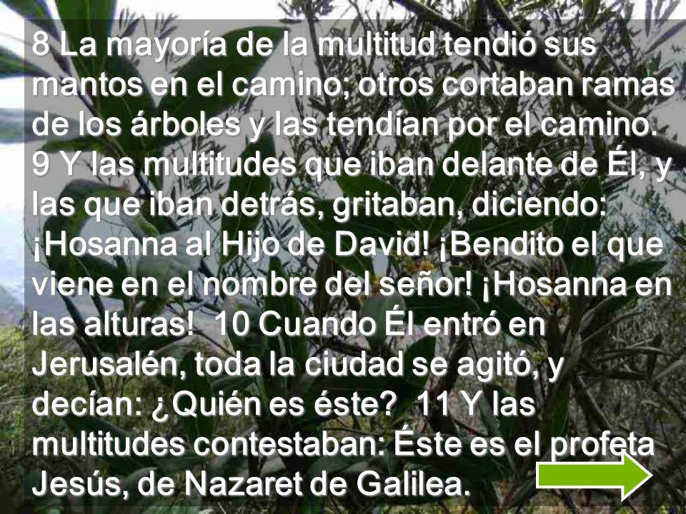 8 La mayoría de la multitud tendió sus mantos en el camino; otros cortaban ramas de los árboles y las tendían por el camino.