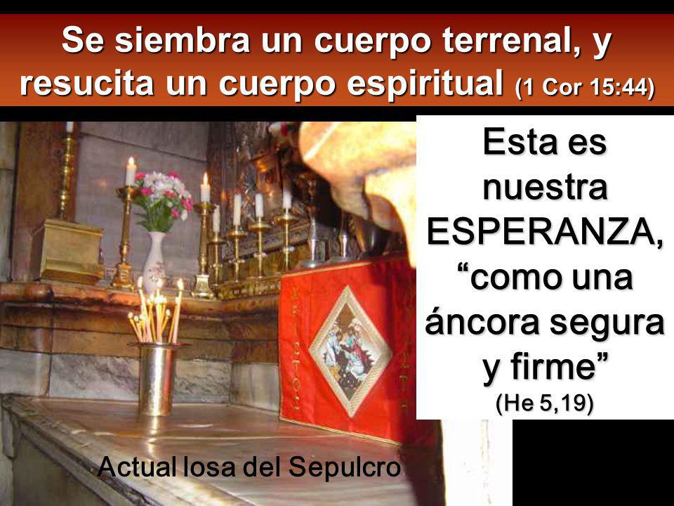 Esta es nuestra ESPERANZA, como una áncora segura y firme