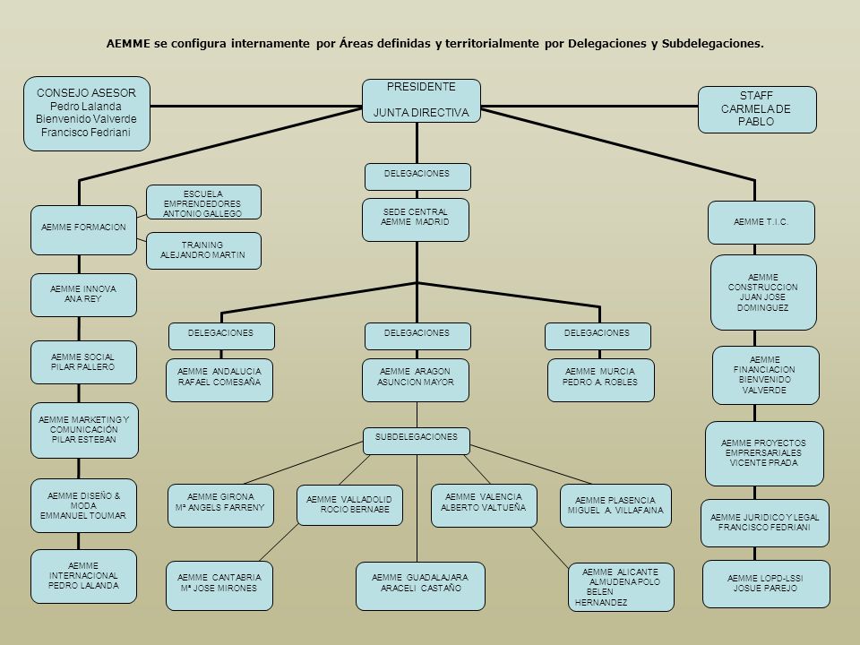 AEMME se configura internamente por Áreas definidas y territorialmente por Delegaciones y Subdelegaciones.
