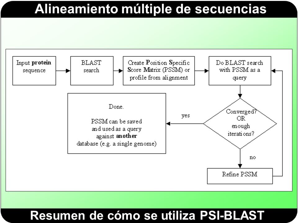 Resumen de cómo se utiliza PSI-BLAST