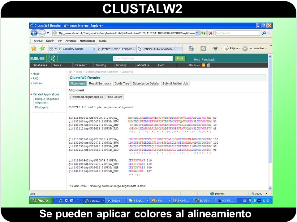 Se pueden aplicar colores al alineamiento