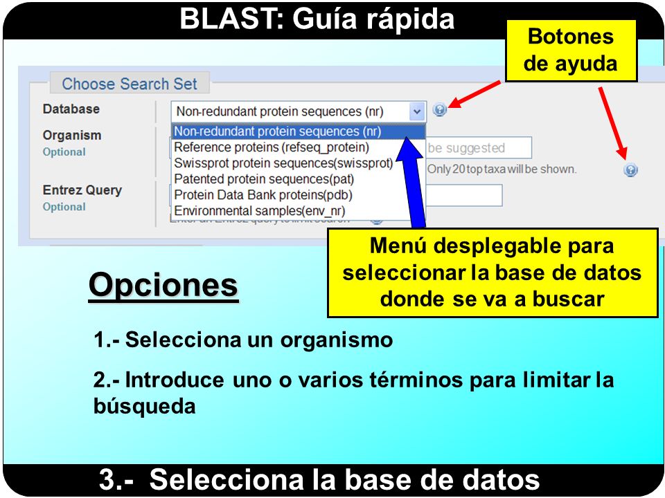 Opciones 3.- Selecciona la base de datos Botones de ayuda