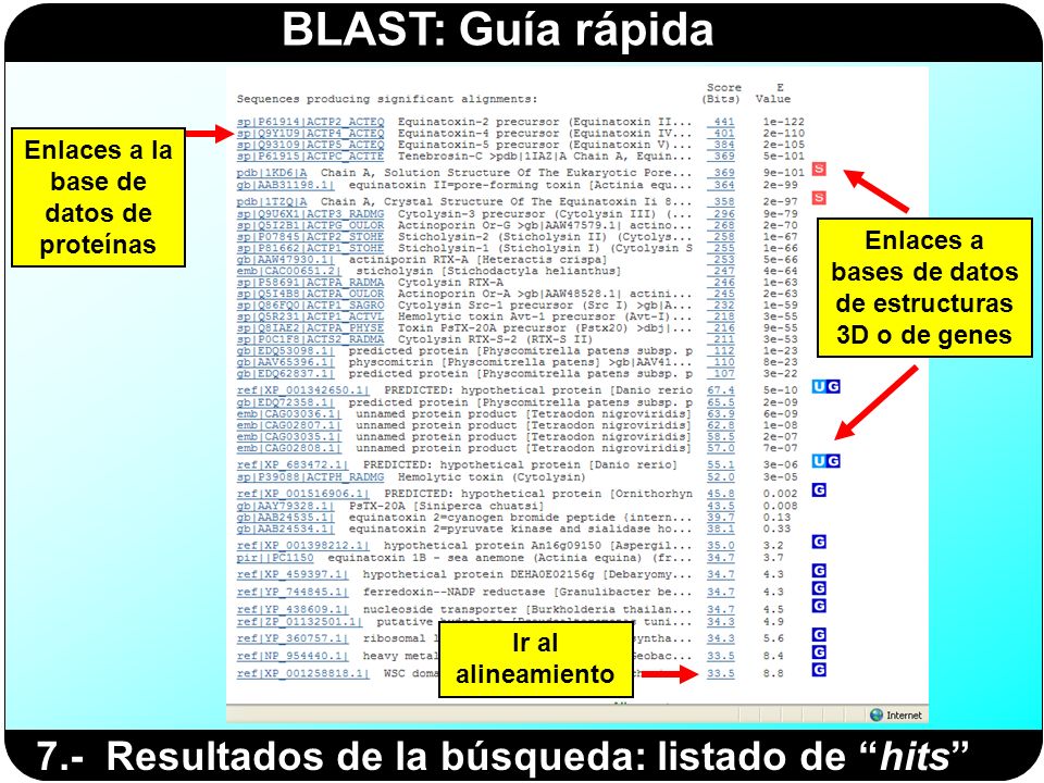 7.- Resultados de la búsqueda: listado de hits