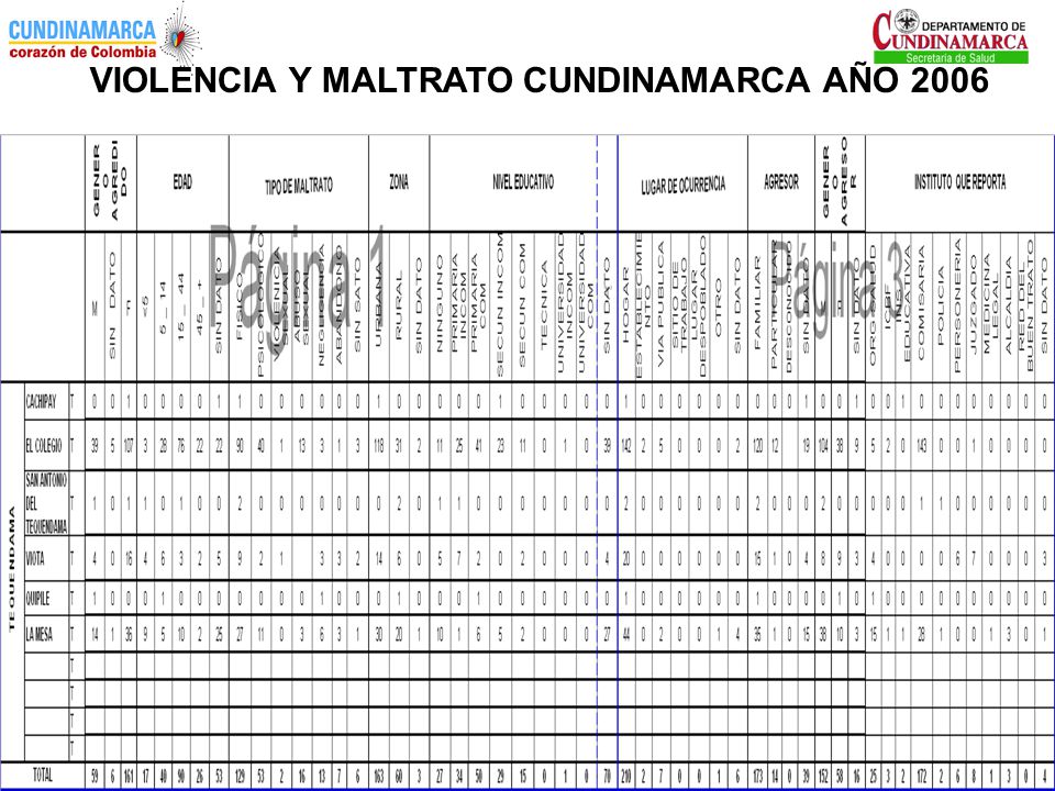 VIOLENCIA Y MALTRATO CUNDINAMARCA AÑO 2006