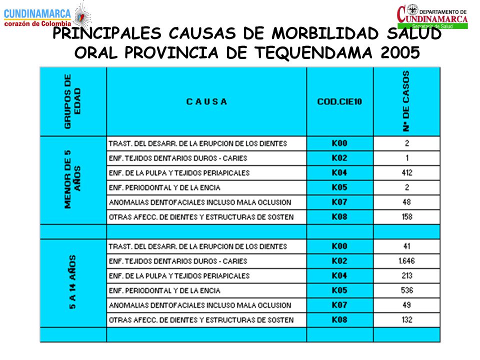PRINCIPALES CAUSAS DE MORBILIDAD SALUD ORAL PROVINCIA DE TEQUENDAMA 2005