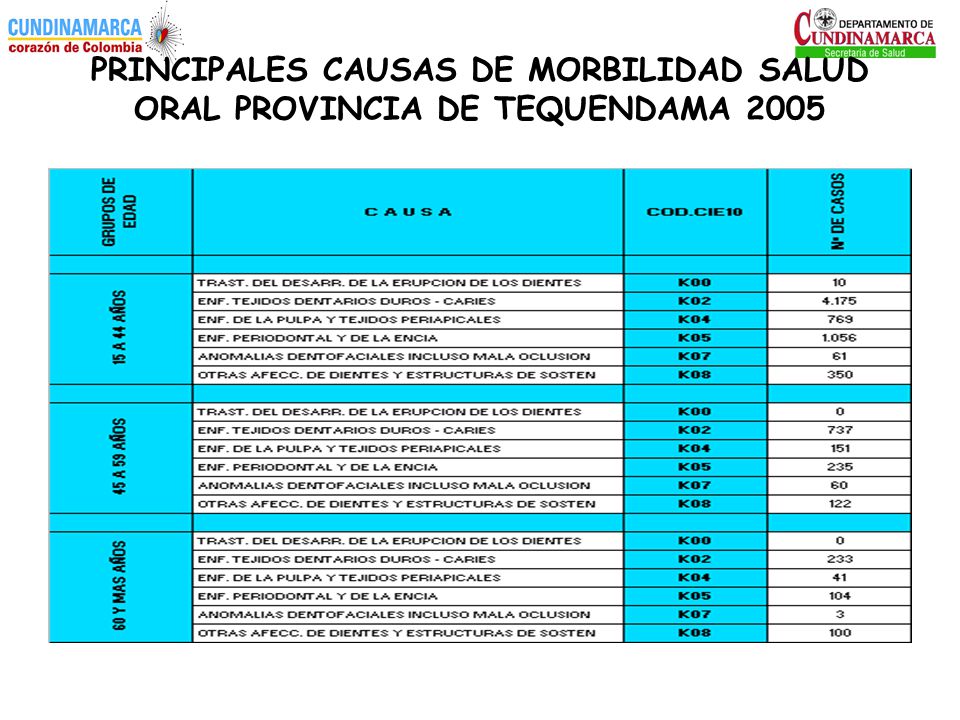 PRINCIPALES CAUSAS DE MORBILIDAD SALUD ORAL PROVINCIA DE TEQUENDAMA 2005