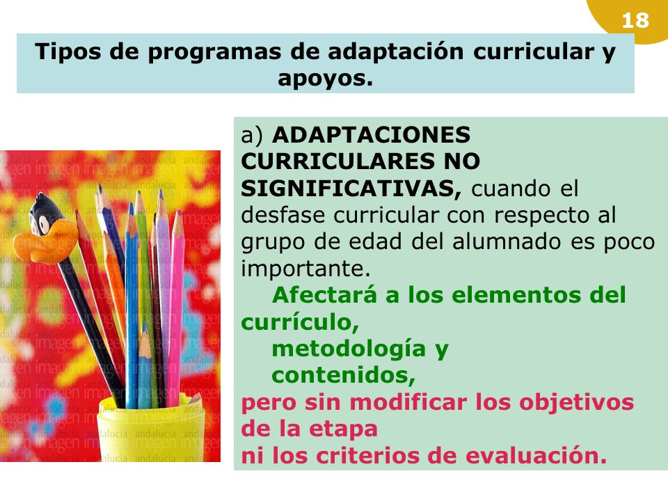 Tipos de programas de adaptación curricular y apoyos.