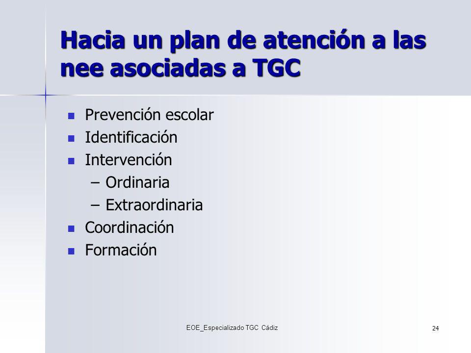 Hacia un plan de atención a las nee asociadas a TGC