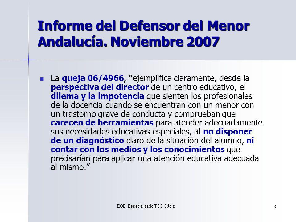 Informe del Defensor del Menor Andalucía. Noviembre 2007