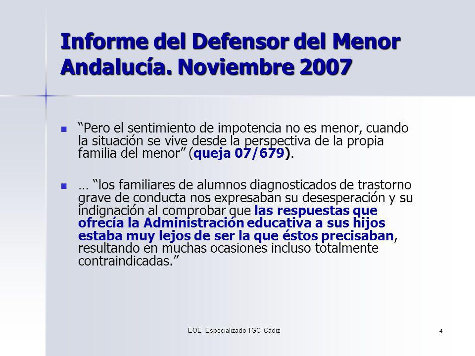 Informe del Defensor del Menor Andalucía. Noviembre 2007