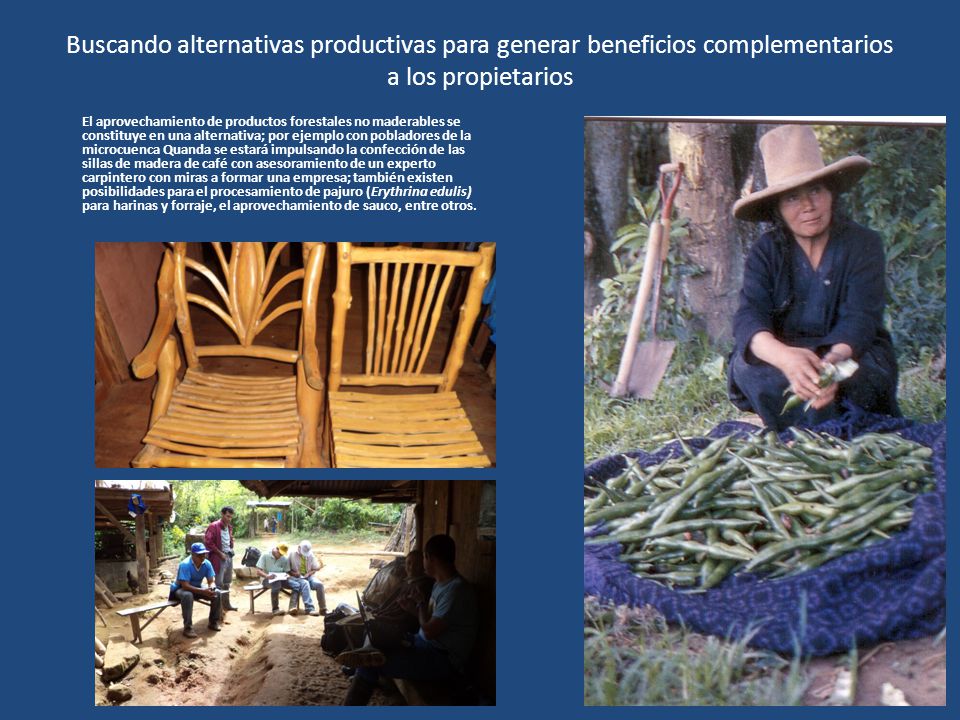 Buscando alternativas productivas para generar beneficios complementarios a los propietarios