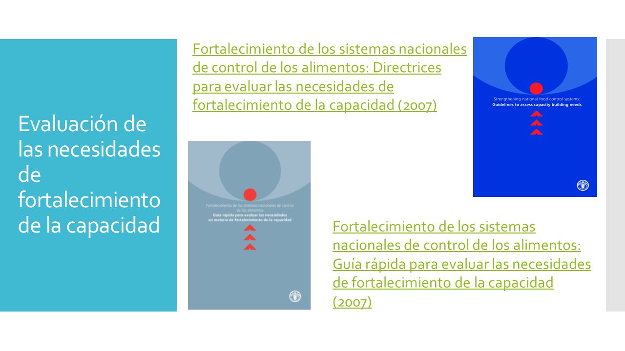 Evaluación de las necesidades de fortalecimiento de la capacidad