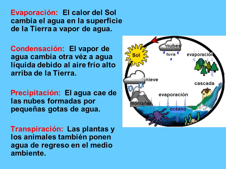 Evaporación: El calor del Sol cambia el agua en la superficie de la Tierra a vapor de agua.