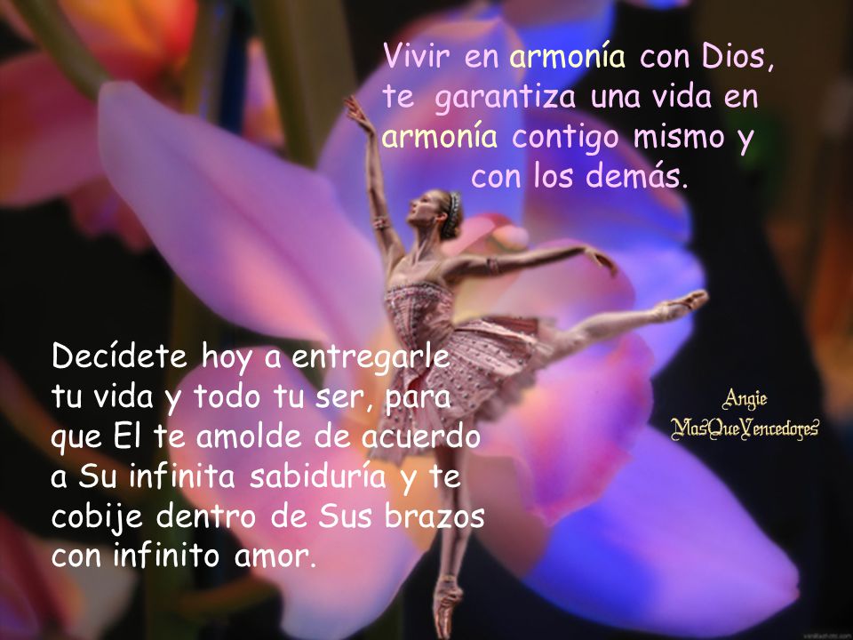 Vivir en armonía con Dios, te garantiza una vida en armonía contigo mismo y con los demás.