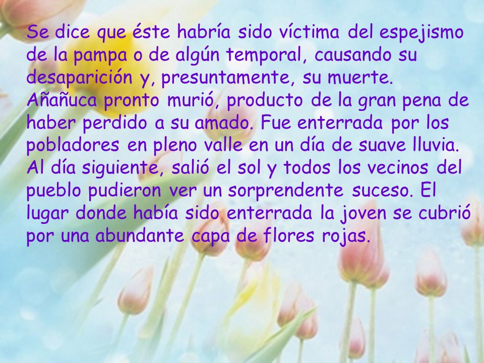 Se dice que éste habría sido víctima del espejismo de la pampa o de algún temporal, causando su desaparición y, presuntamente, su muerte.