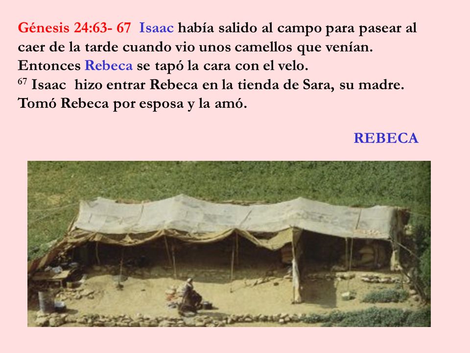 Génesis 24: Isaac había salido al campo para pasear al caer de la tarde cuando vio unos camellos que venían. Entonces Rebeca se tapó la cara con el velo.